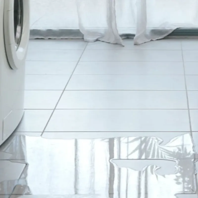 Appliance Leak Cleanup in Lincoln, ME