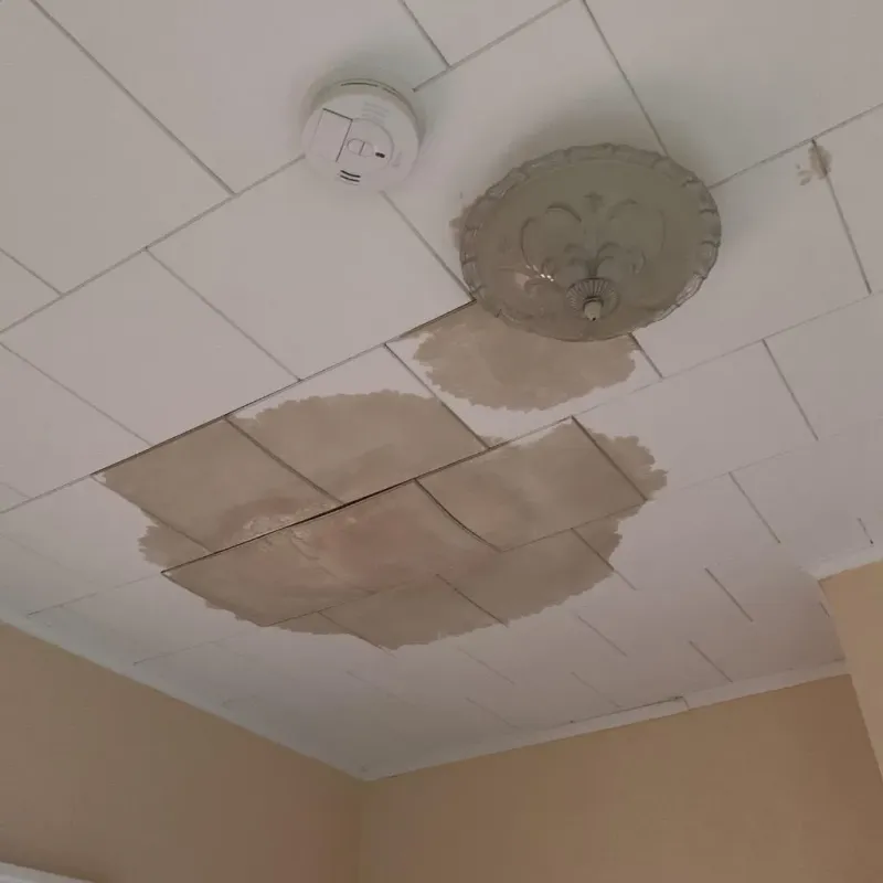 Ceiling Water Damage Repair in Lincoln, ME
