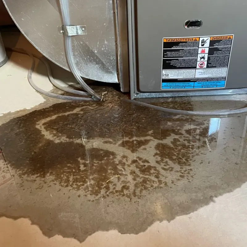 Pipe Burst and Leak Restoration in Lincoln, ME