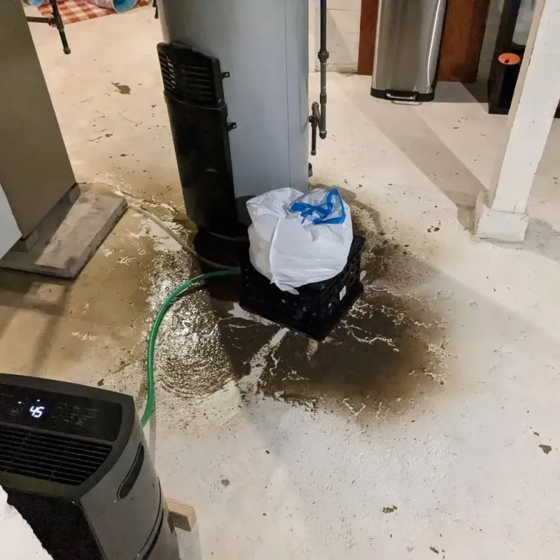 Sewage Backup Cleanup Service in Lincoln, ME